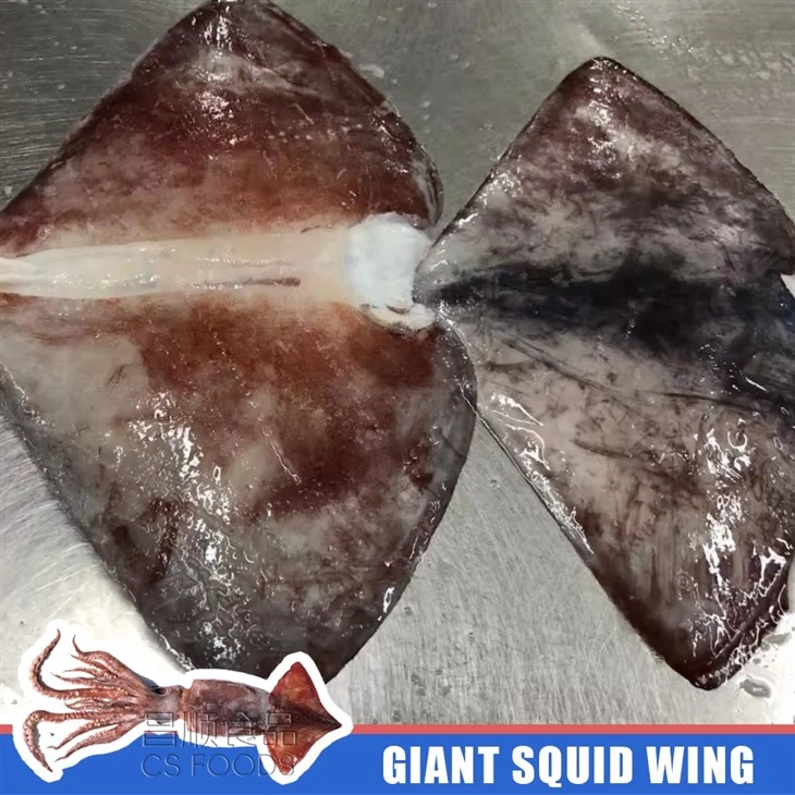Frozen Giant Squid Wing suppliers