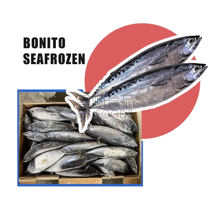 WR Bullet Tuna